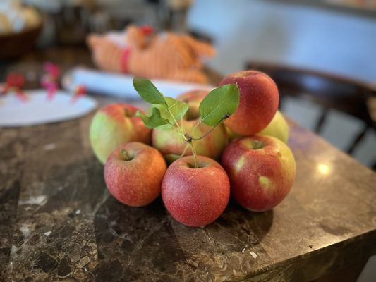 Spicer Orchards Farm Market, Cider Mill, Fudge, Bakery by null