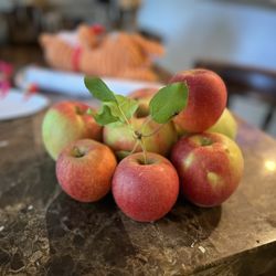 Spicer Orchards Farm Market and Cider Mill