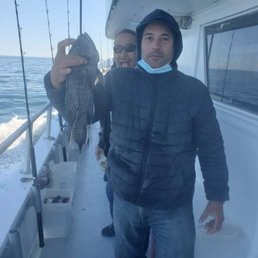 Black Sea bass