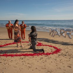 Butterfly Beach - Butterfly beach proposal I set up and did photos for snm-media.com