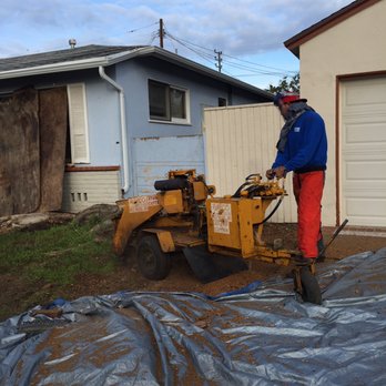 Crestwood Tree Care - a man operating a tree stump - Tree Services Near Me Crestwood Tree Care - a man operating a tree stump - Tree Services Near Me