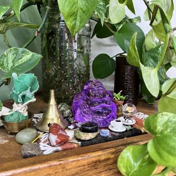 The Green Beautiful - Decor - Coffee & Tea Near Me - Manchester, New Hampshire