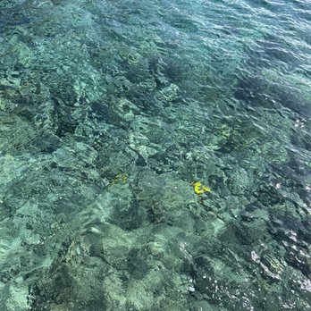 Kona Boys - Water - Rafting/Kayaking Near Me - Kealakekua, Hawaii