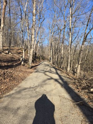 Cherokee Park by null