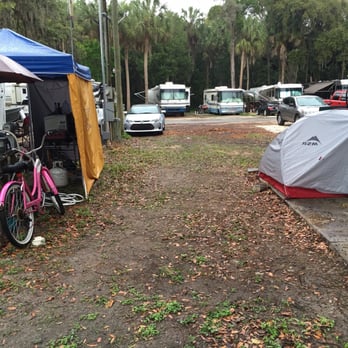 Nature's Resort - My 2 man tent, the massive tree stump, the neighbors tent and bicycle (where my water and electric are located along with 1/2 my campsite). - RV Parks Near Me - Homosassa, Florida