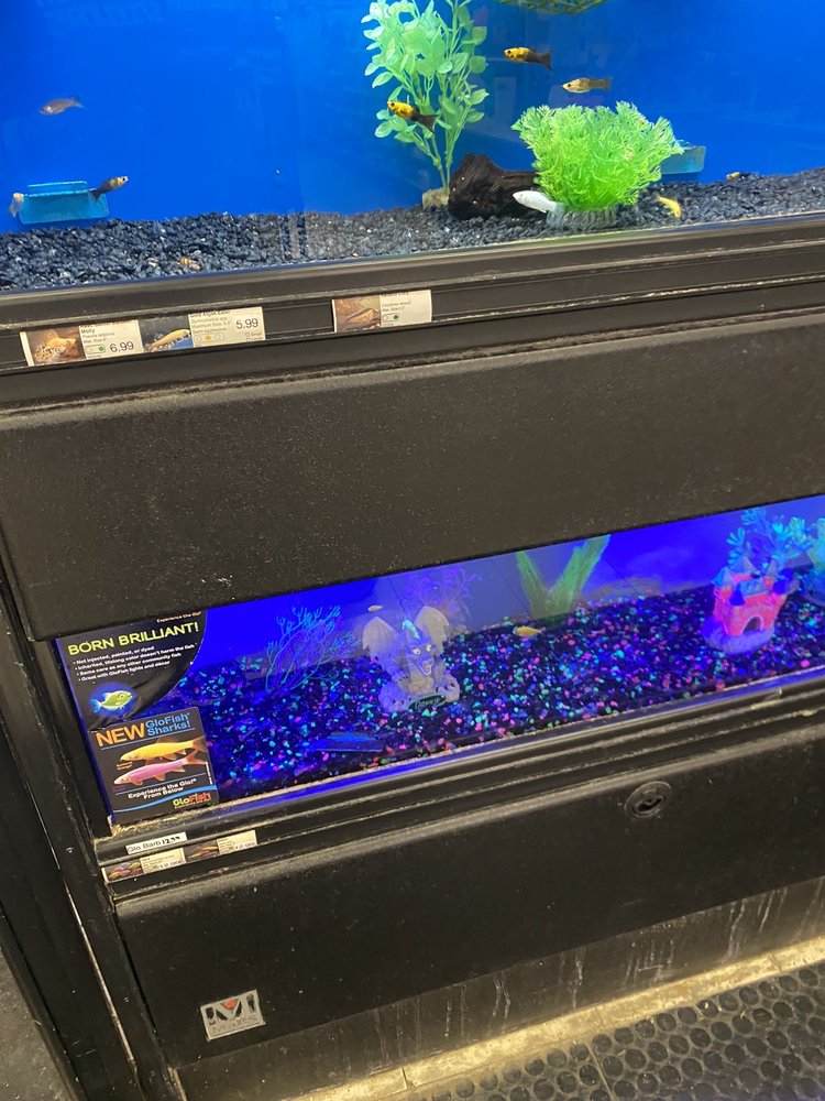 FEEDERS SUPPLY Updated September 2024 45 Photos & 13 Reviews 5763