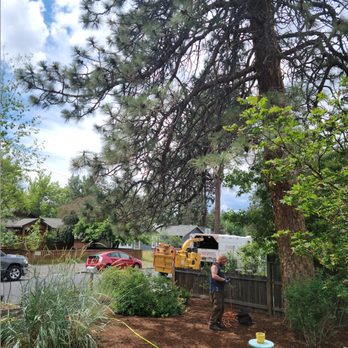 Central Oregon Tree Experts - Tree Services Near Me - Bend, Oregon