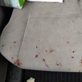 Pet Care Veterinary Clinic - Seats are ruined due to a nail cutting that occurred at the vet today (the knicked the foot) - Veterinarians Near Me - Harlingen, Texas Pet Care Veterinary Clinic - Seats are ruined due to a nail cutting that occurred at the vet today (the knicked the foot) - Veterinarians Near Me - Harlingen, Texas
