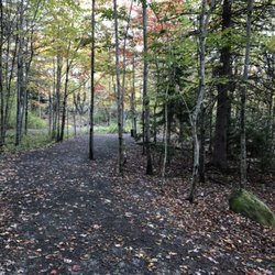 Paws Off leash - The leaves are falling