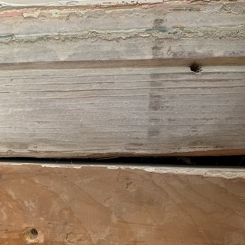 South Bay Termite Control - This is inside: the wood they used didn't match, wasn't primed, and is the wrong size (removed it to discover they didn't remove the damage) - Pest Control Near Me South Bay Termite Control - This is inside: the wood they used didn't match, wasn't primed, and is the wrong size (removed it to discover they didn't remove the damage) - Pest Control Near Me