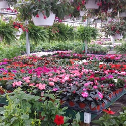 Harger's Feed & Garden Supply - Beautiful arrangement of flowers!