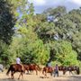 Photo of Cypress Run Farm