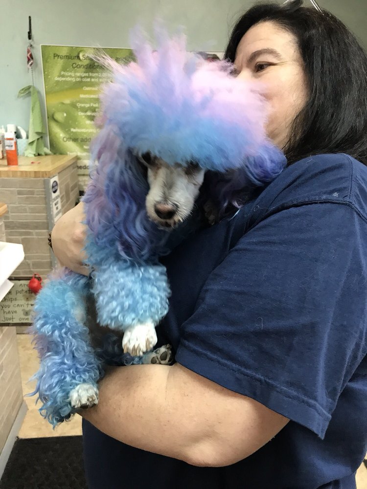 NILES PET SALON Updated August 2024 10 Photos & 11 Reviews 1702