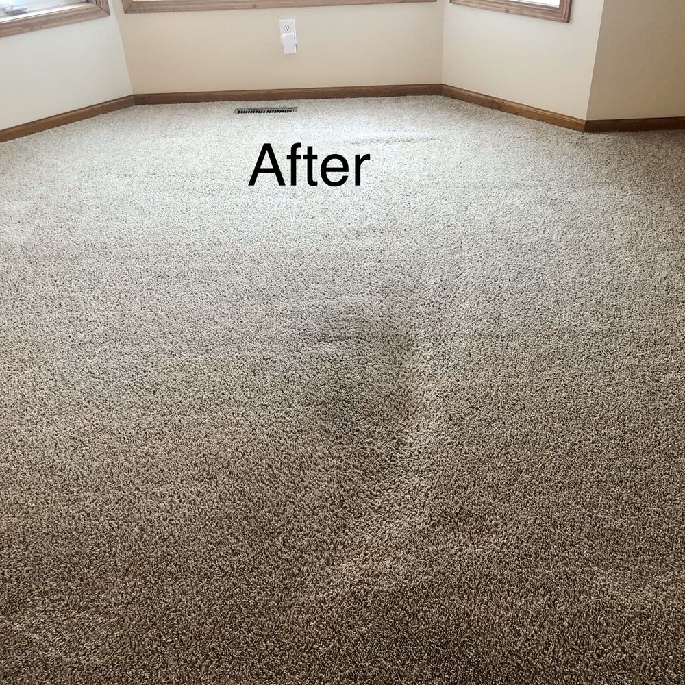 Dream Steam - Carpet Cleaning Near Me - St Paul, Minnesota