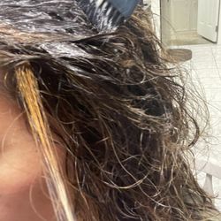 Ahnna's Hair Fashions - Two tones color