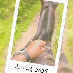 Horseback riding