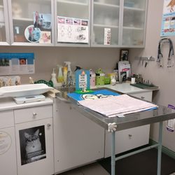 Little Paws Animal Clinic - Examination room