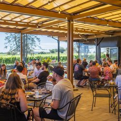 Taproot Brewing Co. - Vineyard views from the terrace.