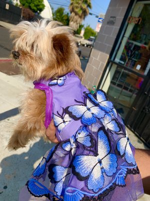 Fur-Kids Boutique by null