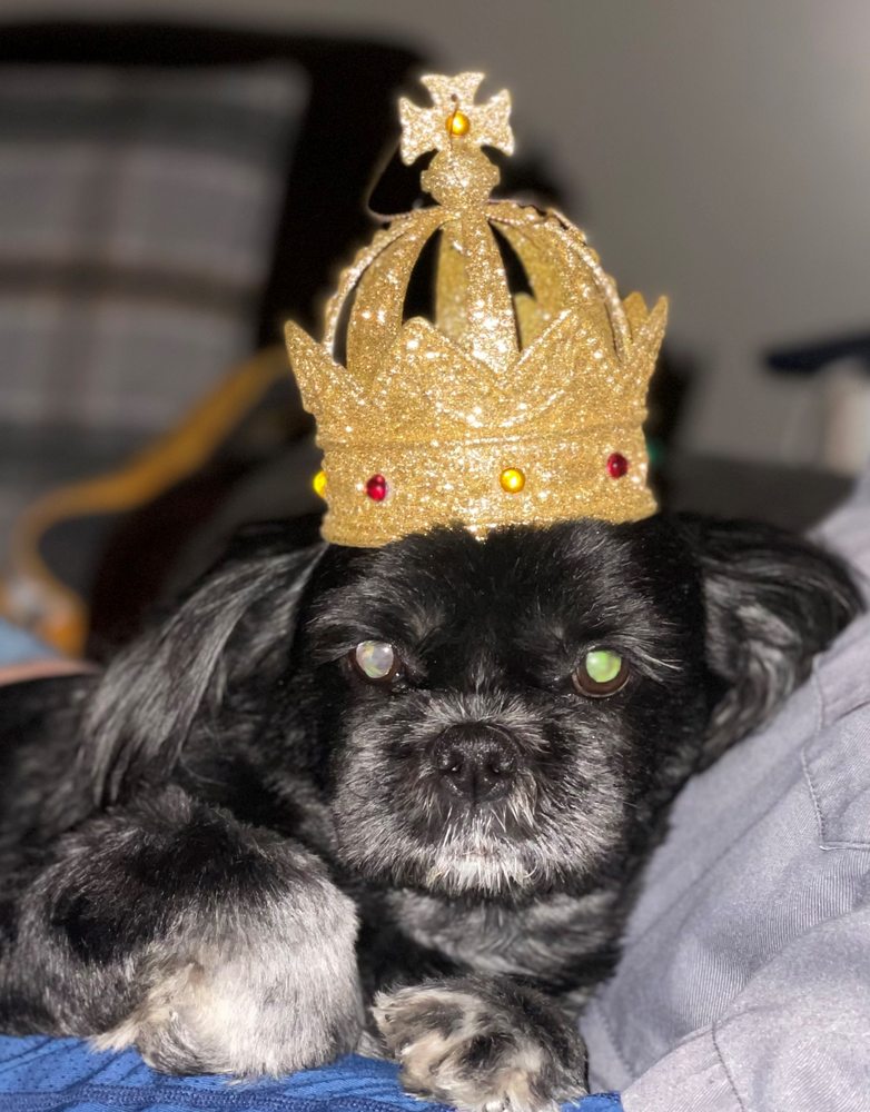 PDQ NOTARY & PROCESS SERVICES Updated September 2024 Request a