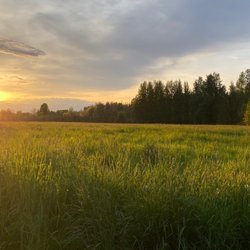 Salmon Creek Greenway Trail