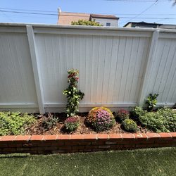 Coastal Roots - Backyard garden refresh: remove old plants, new plants, mulching