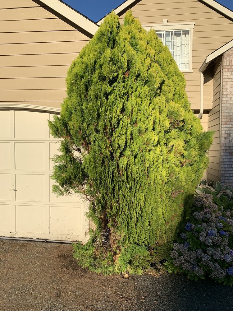 Slide of Good Plumber