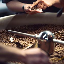Table Rock Coffee Roasters - Artisan specialty coffee roasted fresh right here at our headquarters!