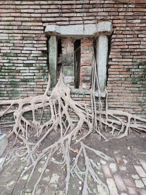 Former Tait & Co. Merchant House by null