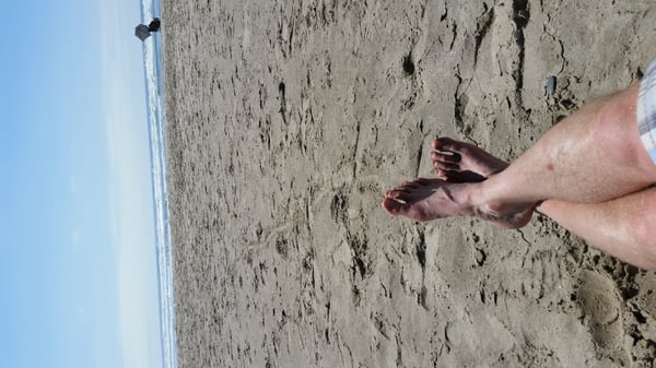Beachside State Park by null