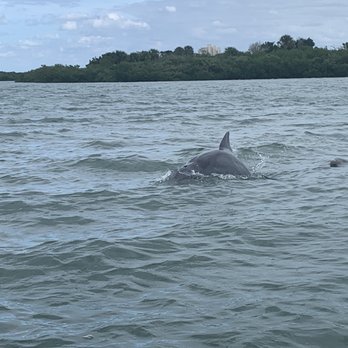 Ponce Inlet Watersports - Dolphin - Boat Tours Near Me - Ponce Inlet, Florida