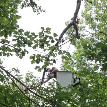 Integrity Tree Service - Tree Services Near Me - Clarksville, Tennessee