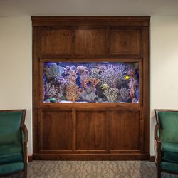 BlackFish Aquariums - Custom 175 gallon reef made and maintained by BlackFish Aquariums