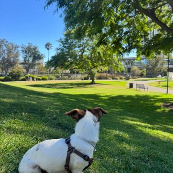 Hancock Park La Brea - Fridalida taking in the nice park sights - Parks Near Me - Los Angeles, California Hancock Park La Brea - Fridalida taking in the nice park sights - Parks Near Me - Los Angeles, California