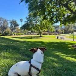 Hancock Park La Brea - Fridalida taking in the nice park sights
