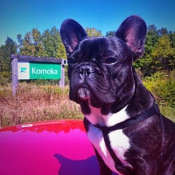Komoka Provincial Park - This is the place, guys!