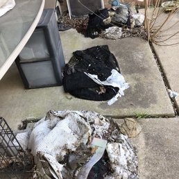 Chunk The Junk - I felt terrible they had to pick up this mess, but they did somehow & it's such a weight lifted! - Junk Removal & Hauling Near Me - Fort Worth, Texas