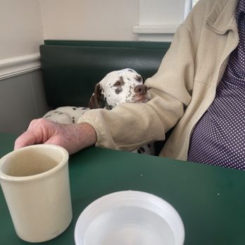 Maggie Valley Restaurant - Adorable! - American Near Me - Maggie Valley, North Carolina