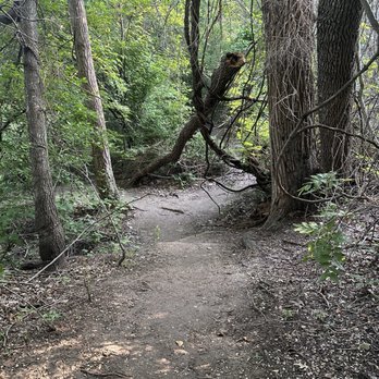 Arbor Hills Nature Preserve - Parks Near Me - Plano, Texas Arbor Hills Nature Preserve - Parks Near Me - Plano, Texas
