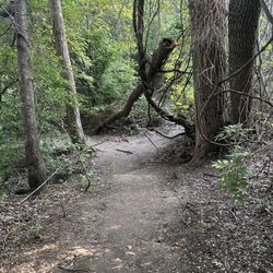 Arbor Hills Nature Preserve