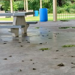 City of Yonkers - Bird droppings on the Pavilion floors