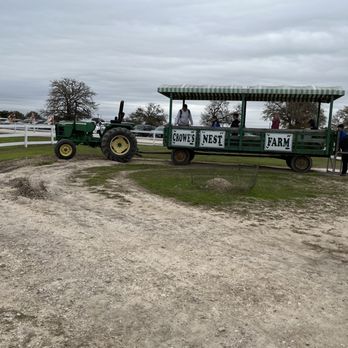 Crowes Nest Farm - Hayride!! - Attraction Farms Near Me - Manor, Texas Crowes Nest Farm - Hayride!! - Attraction Farms Near Me - Manor, Texas