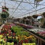 Photo of Martin's Produce & Greenhouse