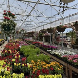 Martin's Produce & Greenhouse