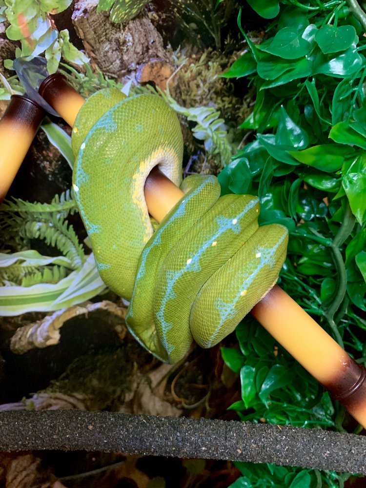 ZOO CREATURES PET STORE 55 Photos & 47 Reviews 149 Plaistow Rd, Plaistow, NH Yelp