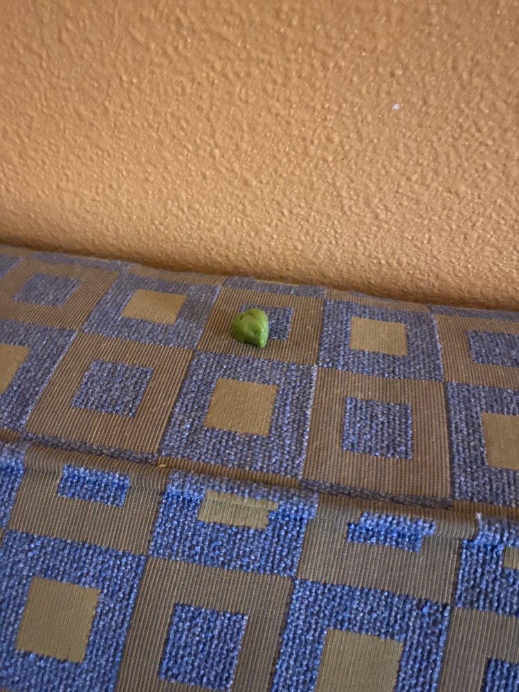 ECONO LODGE 38 Photos & 37 Reviews 7100 McCracken Rd, Westley