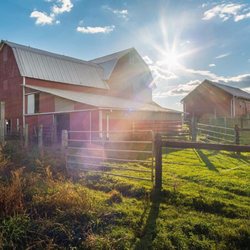 The Willowicke Inn - Sunset barns