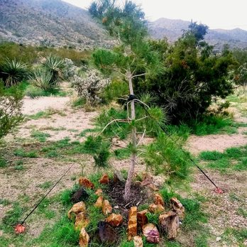 Unique Nursery & Landscape Center - Nurseries & Gardening Near Me - Yucca Valley, California Unique Nursery & Landscape Center - Nurseries & Gardening Near Me - Yucca Valley, California