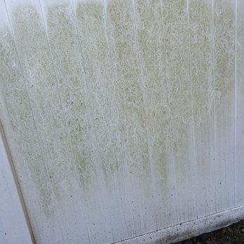 Tropical Shine Window Cleaning - Junk Removal & Hauling Near Me Tropical Shine Window Cleaning - Junk Removal & Hauling Near Me