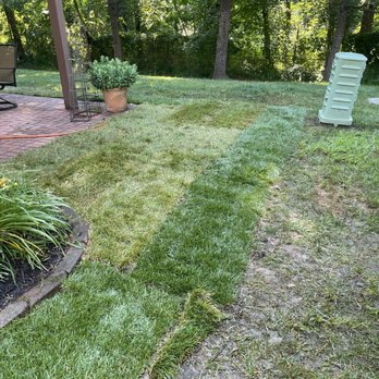 Kingstowne Residential Owners - Sod next to bare grass in common area - Homeowner Association Near Me - Alexandria, Virginia